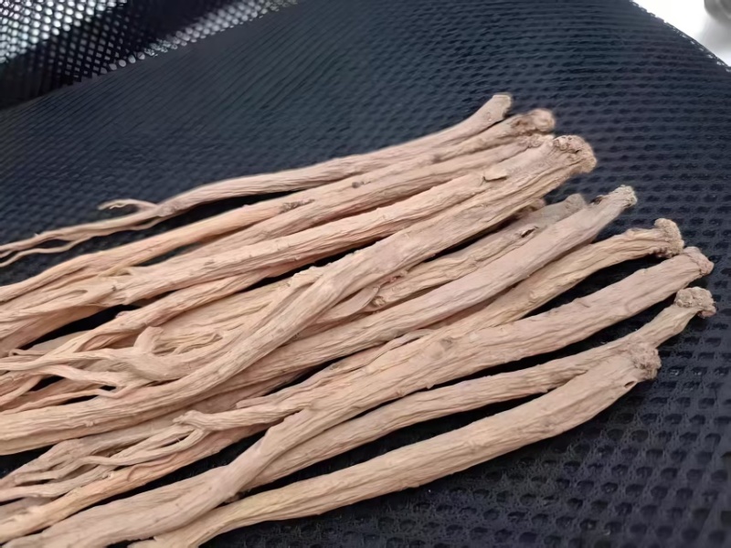 精品白条党参，甘肃党参无硫精品货源，大量现货保质保量