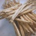 精品白条党参，甘肃党参无硫精品货源，大量现货保质保量