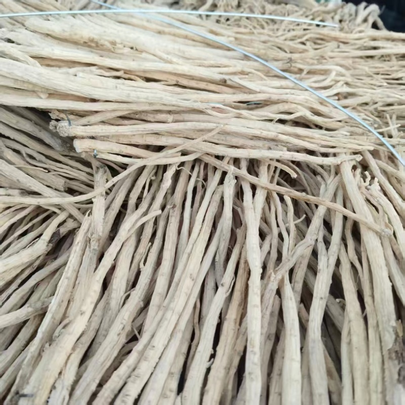 精品白条党参，甘肃党参无硫精品货源，大量现货保质保量