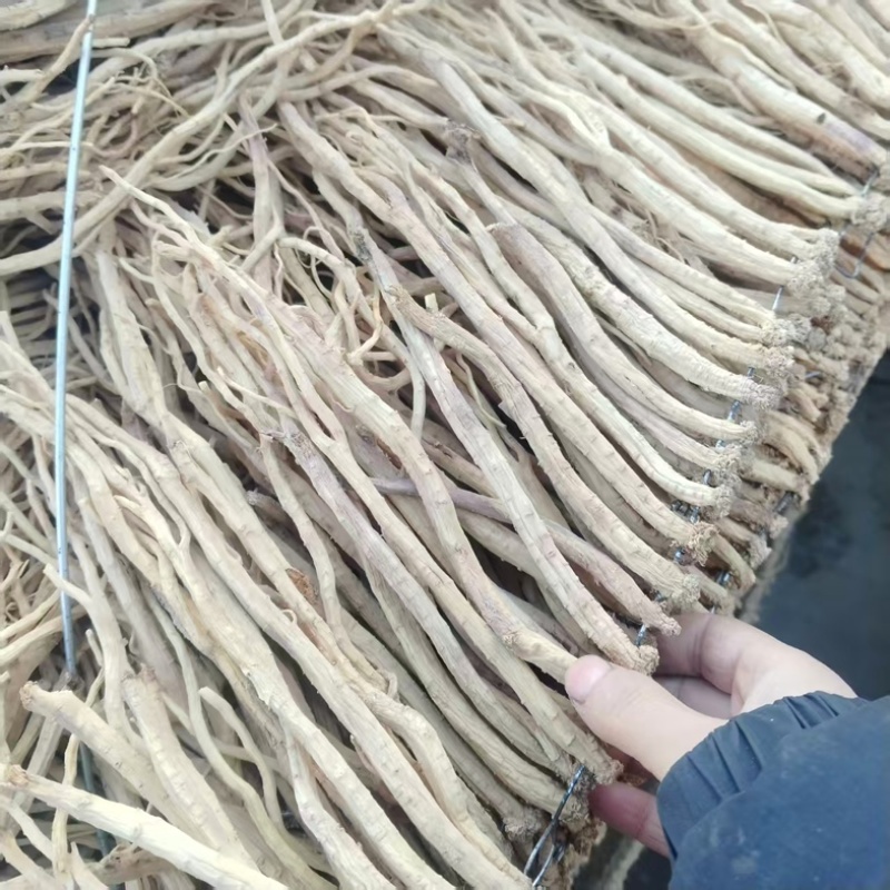 精品白条党参，甘肃党参无硫精品货源，大量现货保质保量
