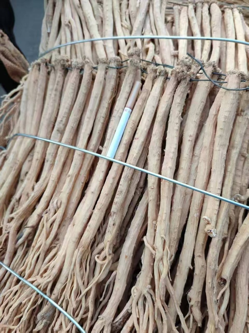 精品白条党参，甘肃党参无硫精品货源，大量现货保质保量