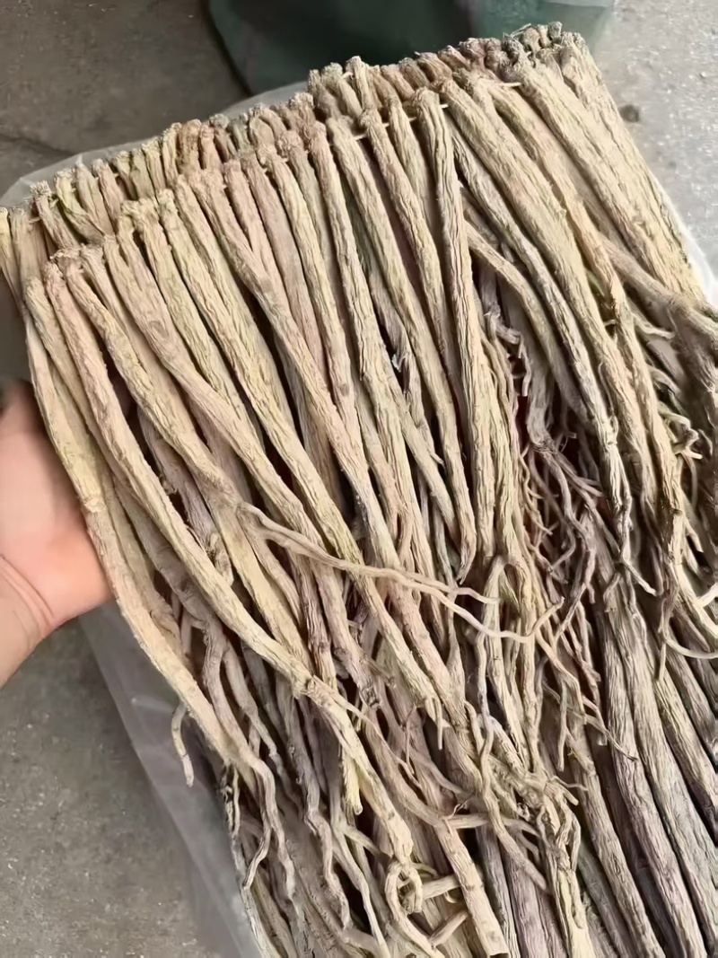 精品白条党参，甘肃党参无硫精品货源，大量现货保质保量