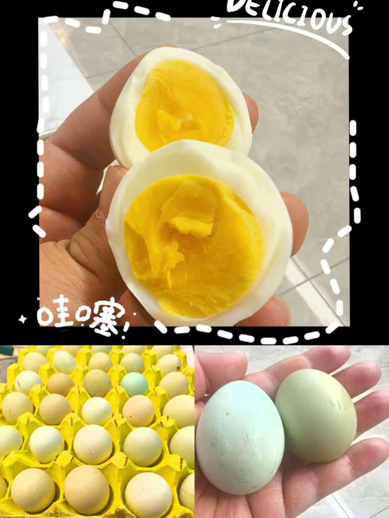 甘肃省金昌市永昌县毛卜喇散养绿壳土鸡蛋