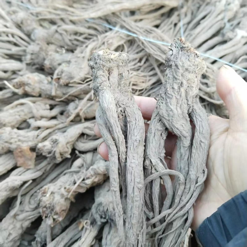 【精品】原产地无硫当归，药含量高，品质保证可视频看货