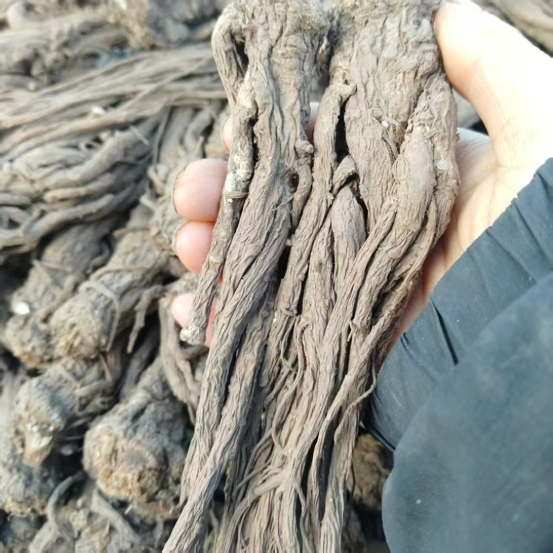 【精品】原产地无硫当归，药含量高，品质保证可视频看货