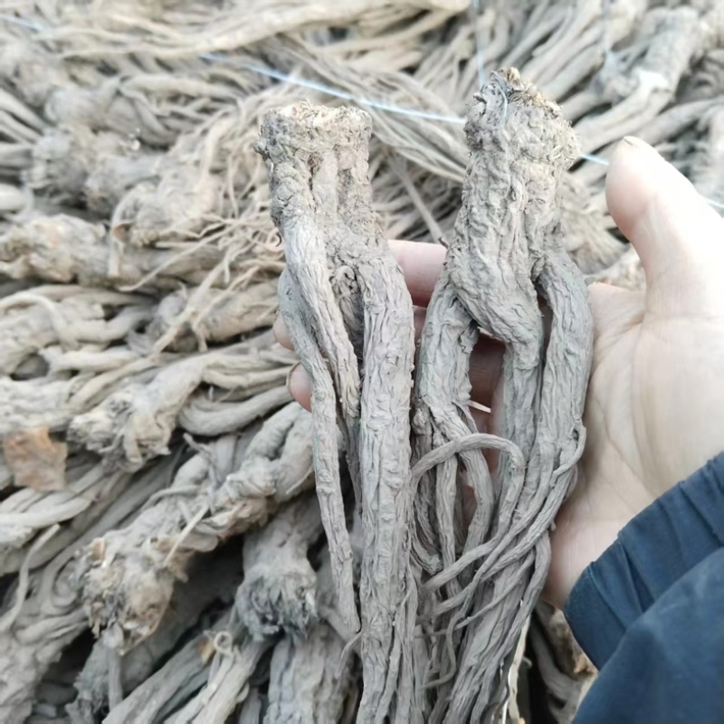 【精品】原产地无硫当归，药含量高，品质保证可视频看货
