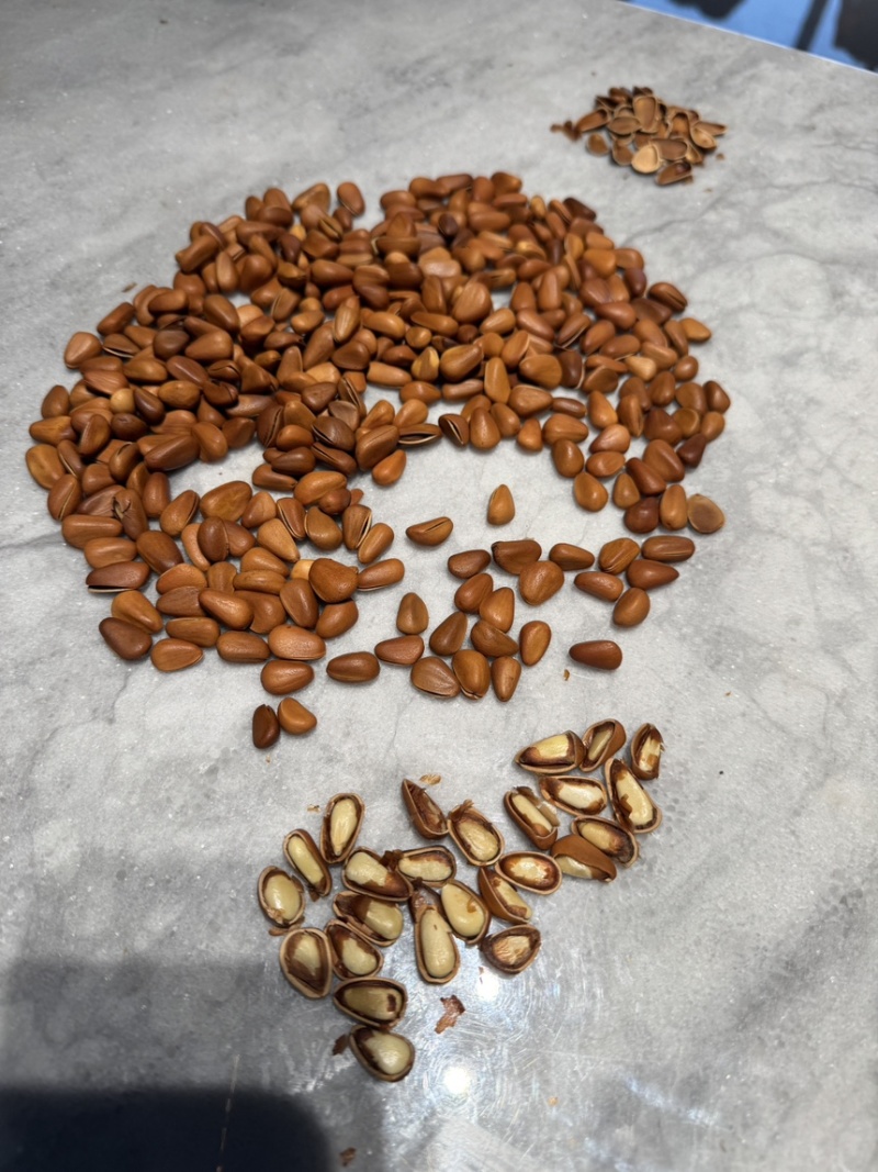 精品红松电商货，各种规格齐全售后低精品