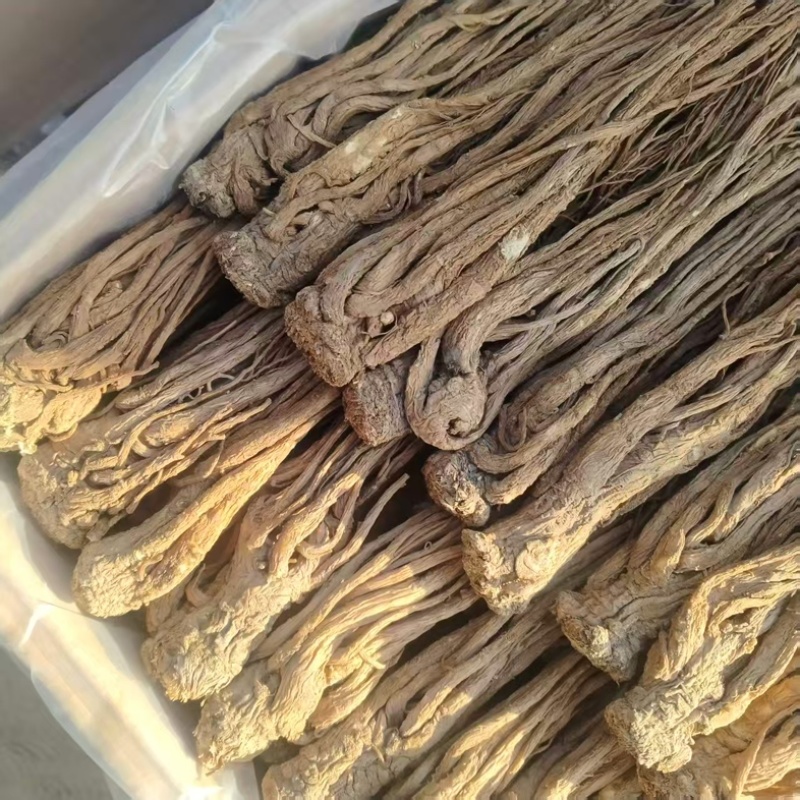 甘肃当归，有硫当归，一手货源产地直销，保证质量货量大