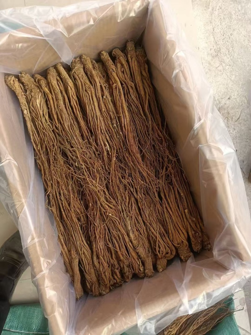 甘肃当归，有硫当归，一手货源产地直销，保证质量货量大