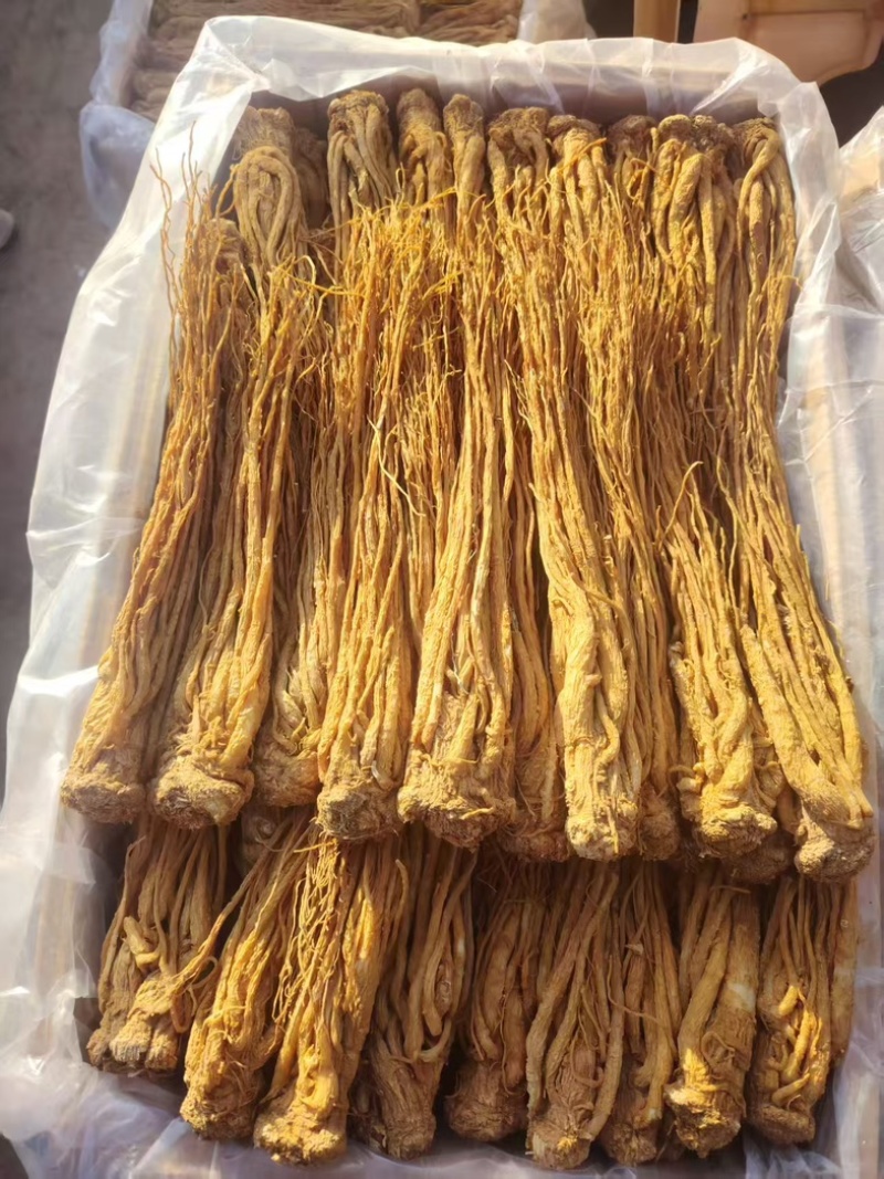 甘肃当归，有硫当归，一手货源产地直销，保证质量货量大