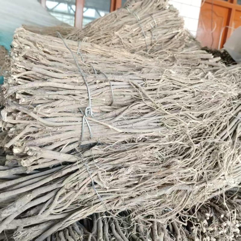 甘肃岷县红芪条，大量现货高糖产地一手货源，可对接全国