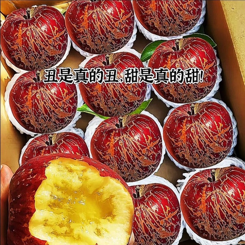 正宗云南昭通丑苹果/电商一件商超团购24小时揽收