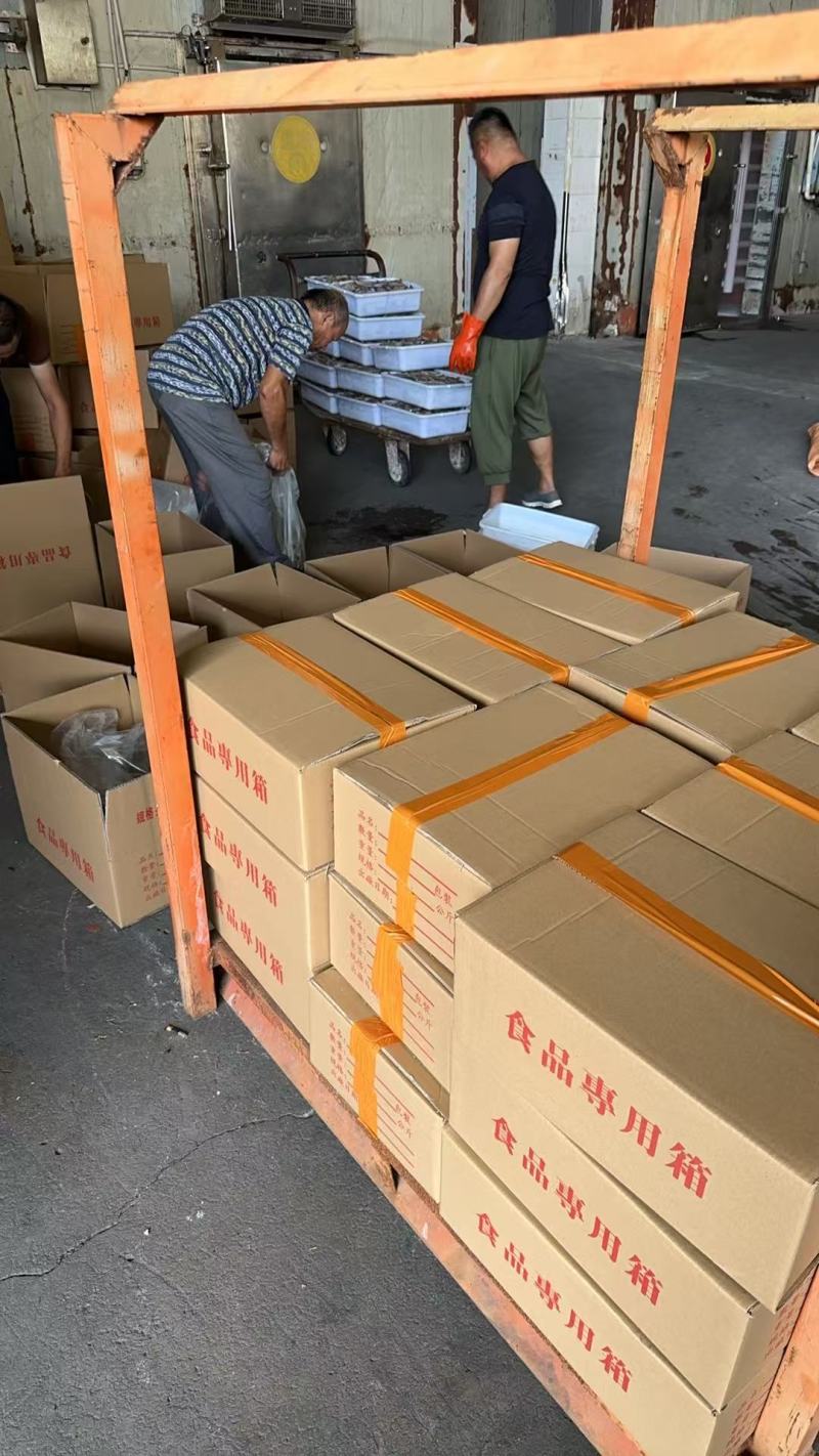 冰鲜南美白对虾产地一手货源对接全国市场电商平台欢迎合作