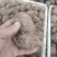新鲜芋头大量上市产地一手货源大量现货供应支持全国物流发货