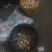 高山山茶林下土鸡蛋