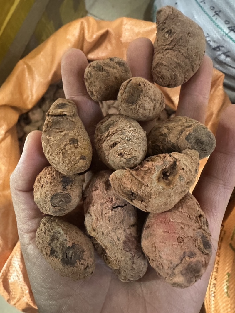 血三七，各种规格多种药材批发诚信经营给一个机会还你份信任