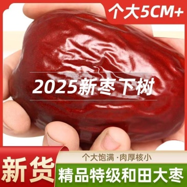 新疆红枣特级和田大枣大红枣子玉枣泡茶干果