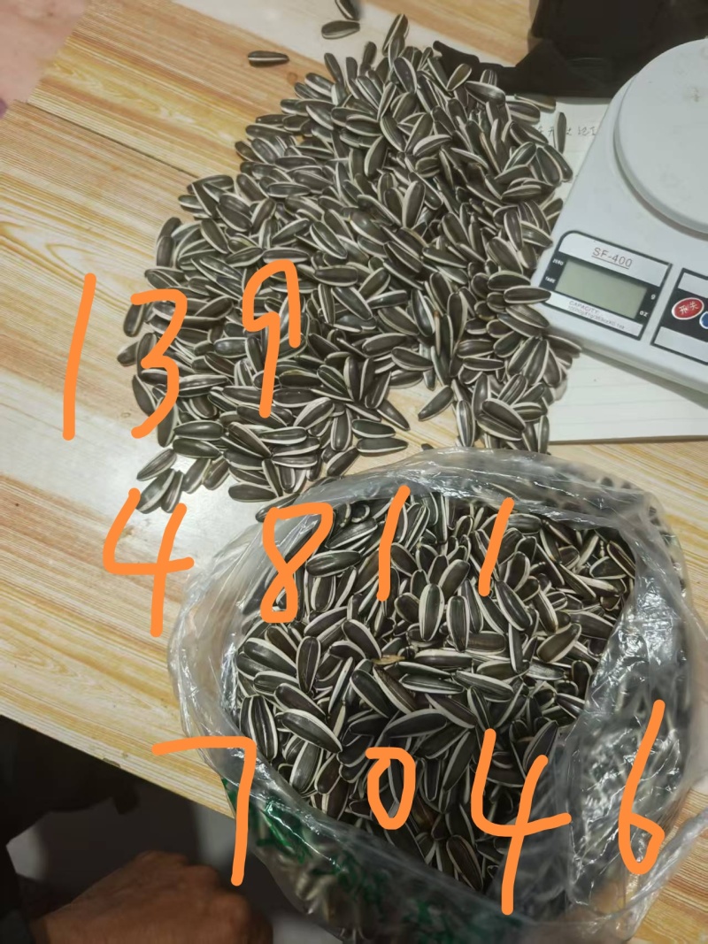 0内霉葵花籽363号产地直发一手货已卖完来年见不卖垃圾货
