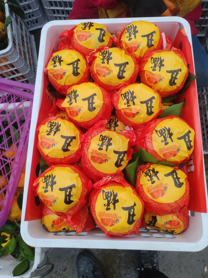 不知火柑橘丑橘产地直发品质保障口感甜量大优惠