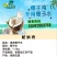 椰子鸡专用椰子水