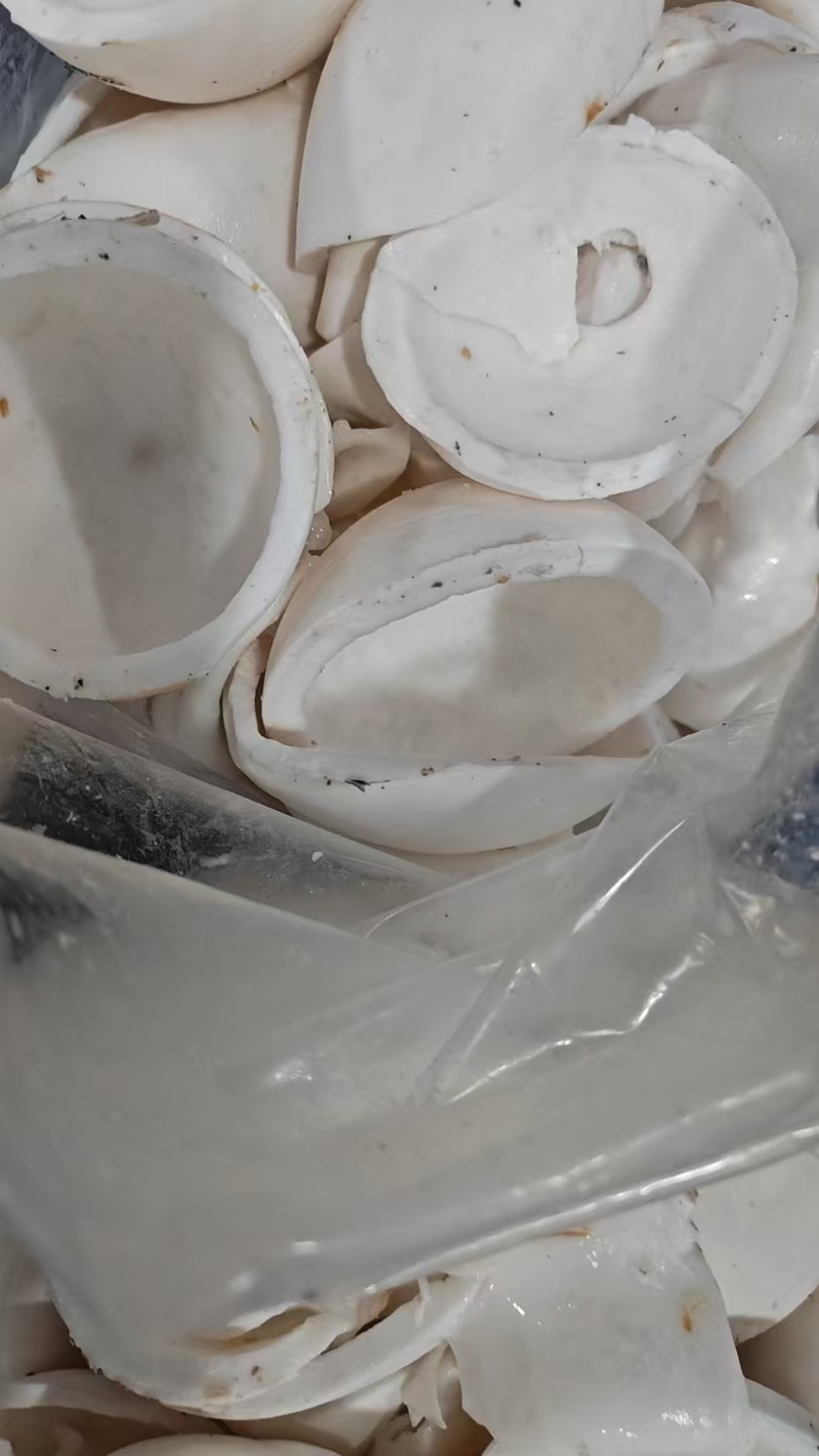 椰子鸡专用椰子水