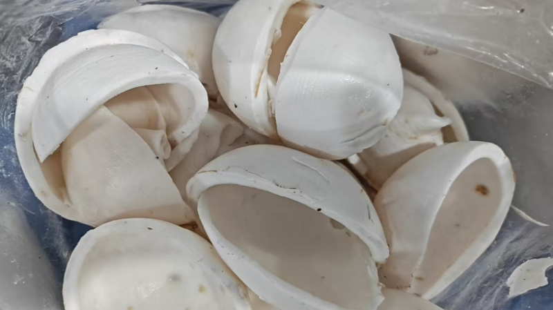 椰子鸡专用椰子水