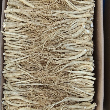 东北中药根茎类/人参须/规格齐全/一手货源/量大价优