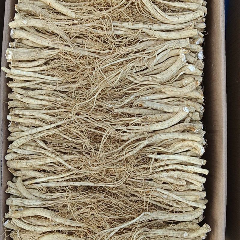 东北中药根茎类/人参须/规格齐全/一手货源/量大价优