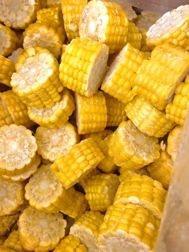 鲜玉米自产自营