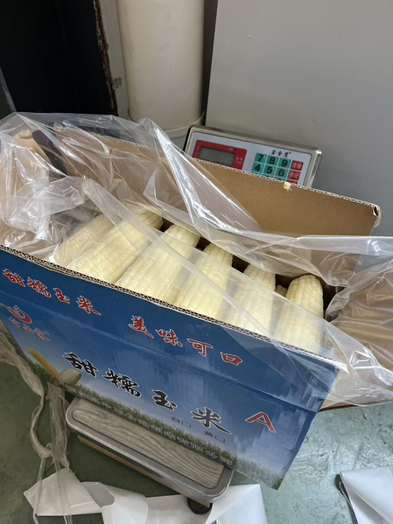 鲜玉米自产自营