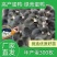 黑金定鸭苗，蛋鸭苗高产蛋年产280枚满1000送100