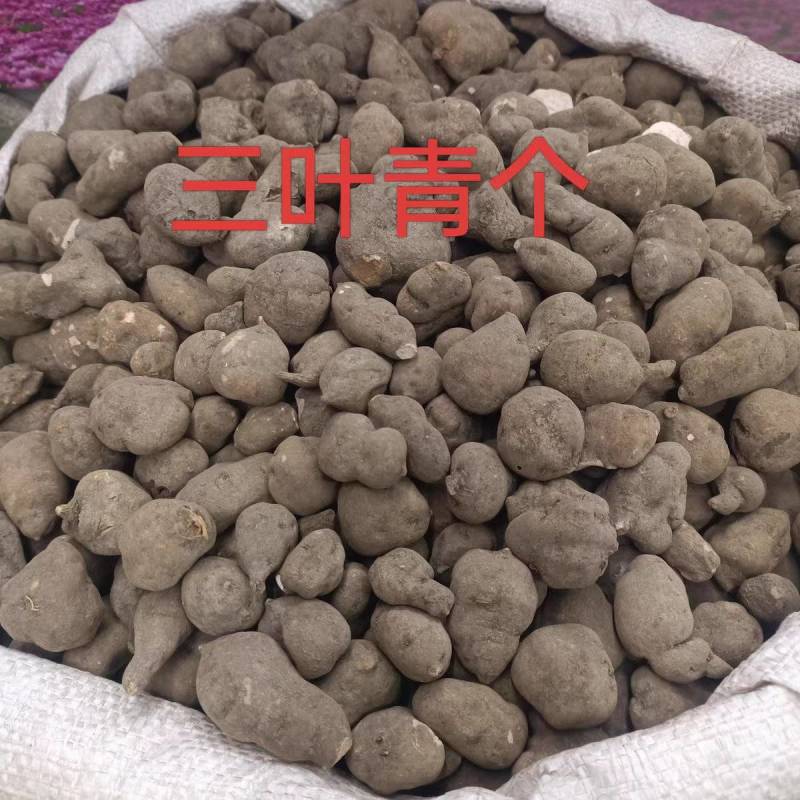 三叶青中药材新货无硫全干货