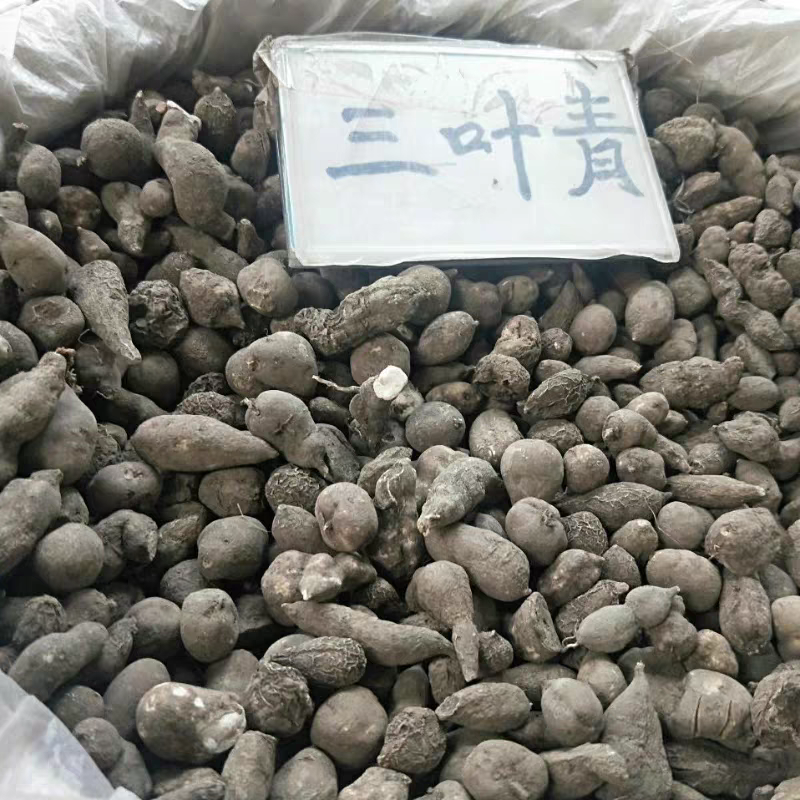 三叶青中药材新货无硫全干货