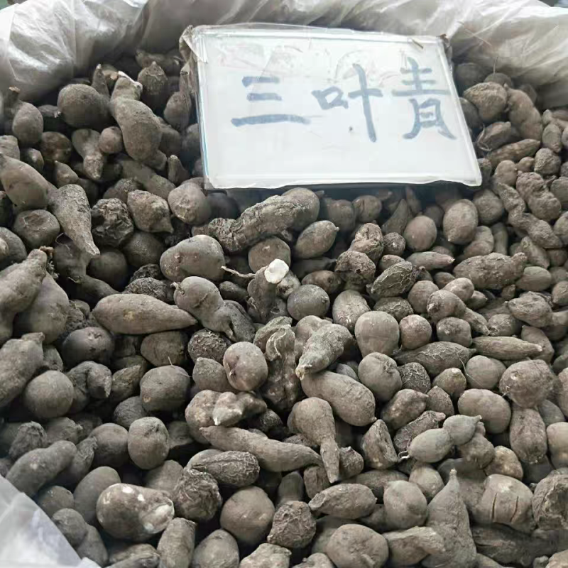 三叶青中药材新货无硫全干货
