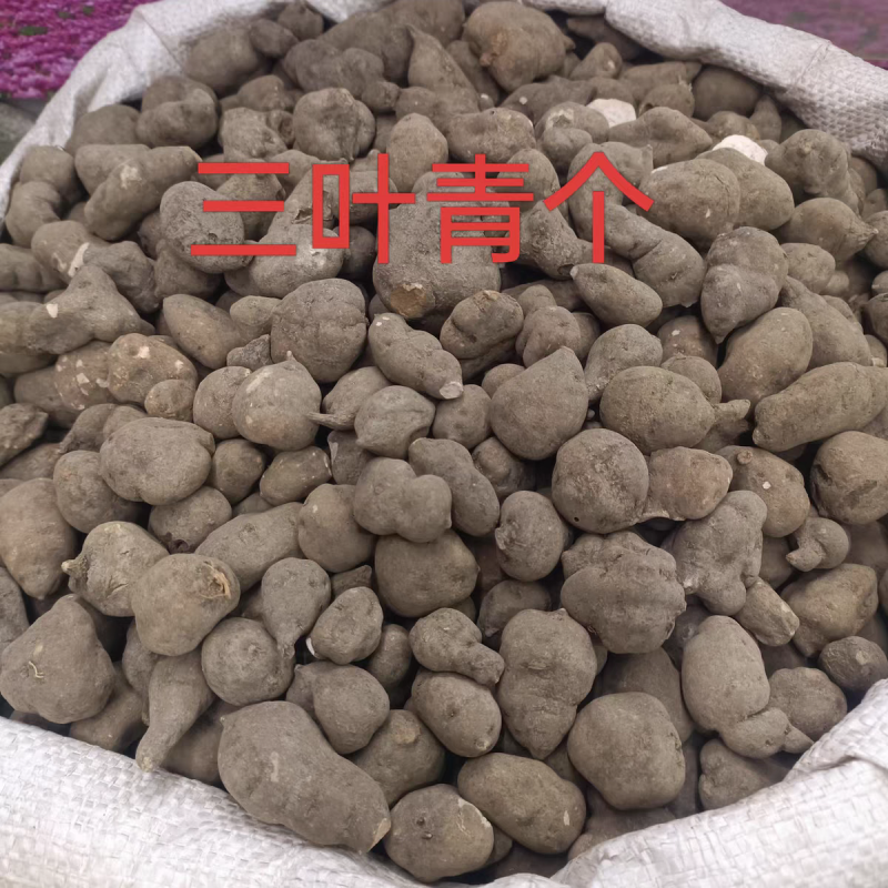 三叶青中药材新货无硫全干货
