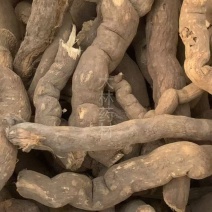 雪里开【包邮】三斤起发货可批量可零售量大从优