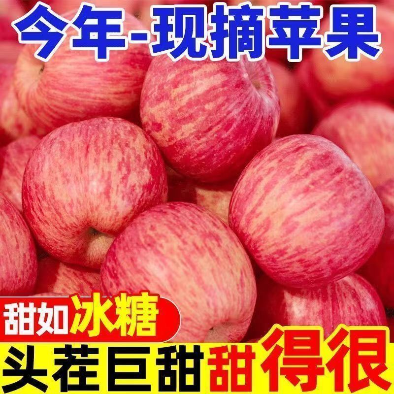 丑苹果电商供货一件代发