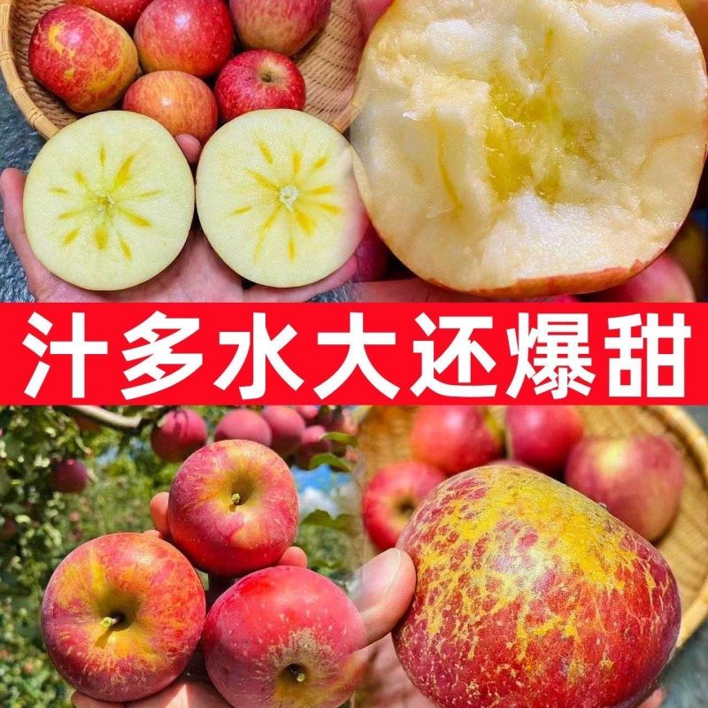 丑苹果电商供货一件代发
