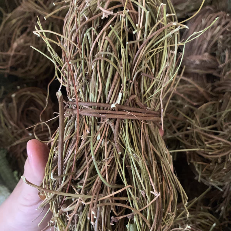 鸡骨草中药材野生无硫鸡骨草小扎把鸡骨草大货供应批发
