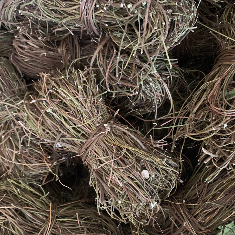 鸡骨草中药材野生无硫鸡骨草小扎把鸡骨草大货供应批发