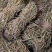 鸡骨草中药材野生无硫鸡骨草小扎把鸡骨草大货供应批发