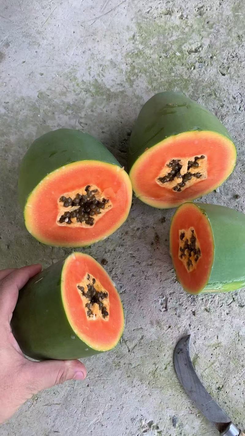 【推荐】大青木瓜大量接单产地直发量大从优欢迎来电