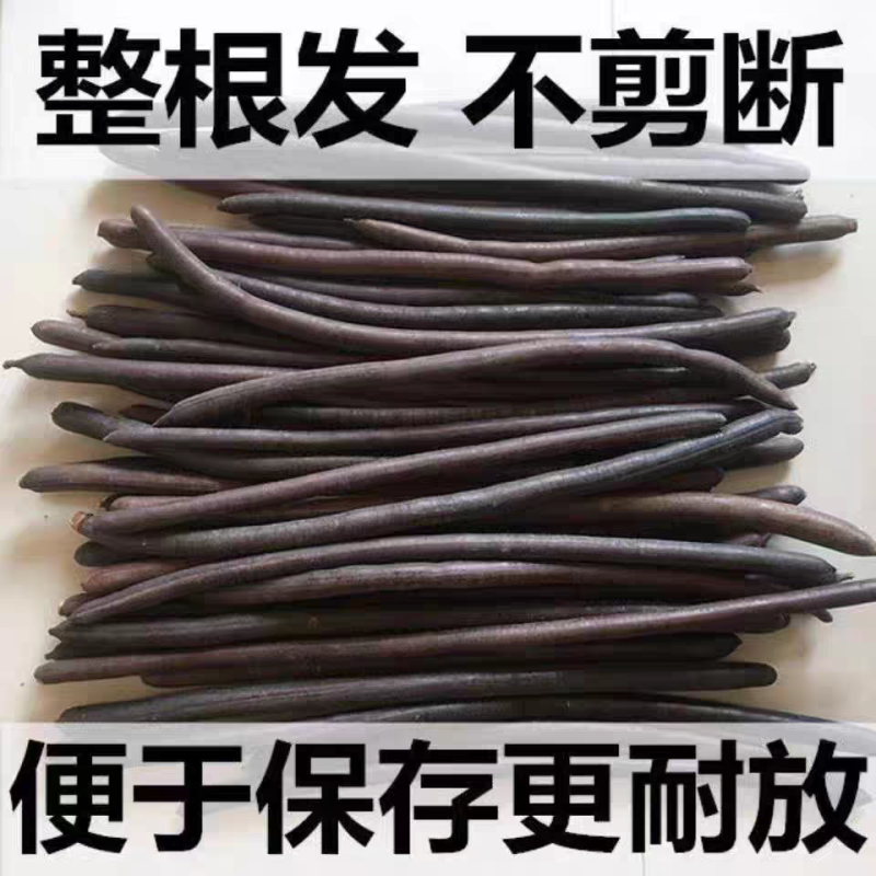 云南野生便秘果腊肠果大货供应自然晒干批发零售