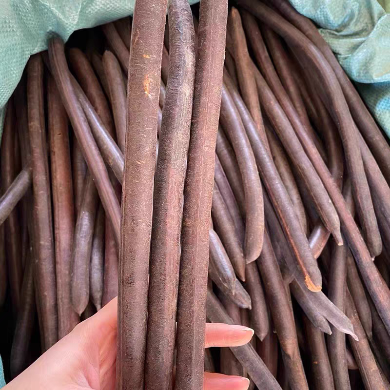 云南野生便秘果腊肠果大货供应自然晒干批发零售