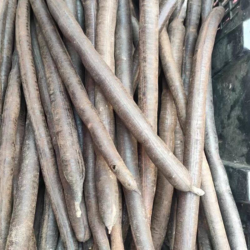 云南野生便秘果腊肠果大货供应自然晒干批发零售