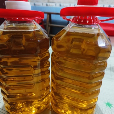 【推荐】湖南山茶油/一手货源/品质保证/视频看货/电询