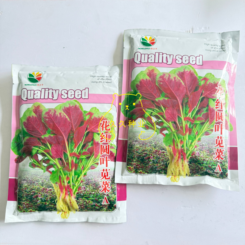 农之子花红圆叶苋菜种子红汗菜蔬菜种籽叶片厚白绿梗