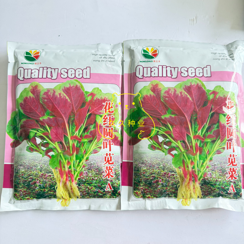 农之子花红圆叶苋菜种子红汗菜蔬菜种籽叶片厚白绿梗