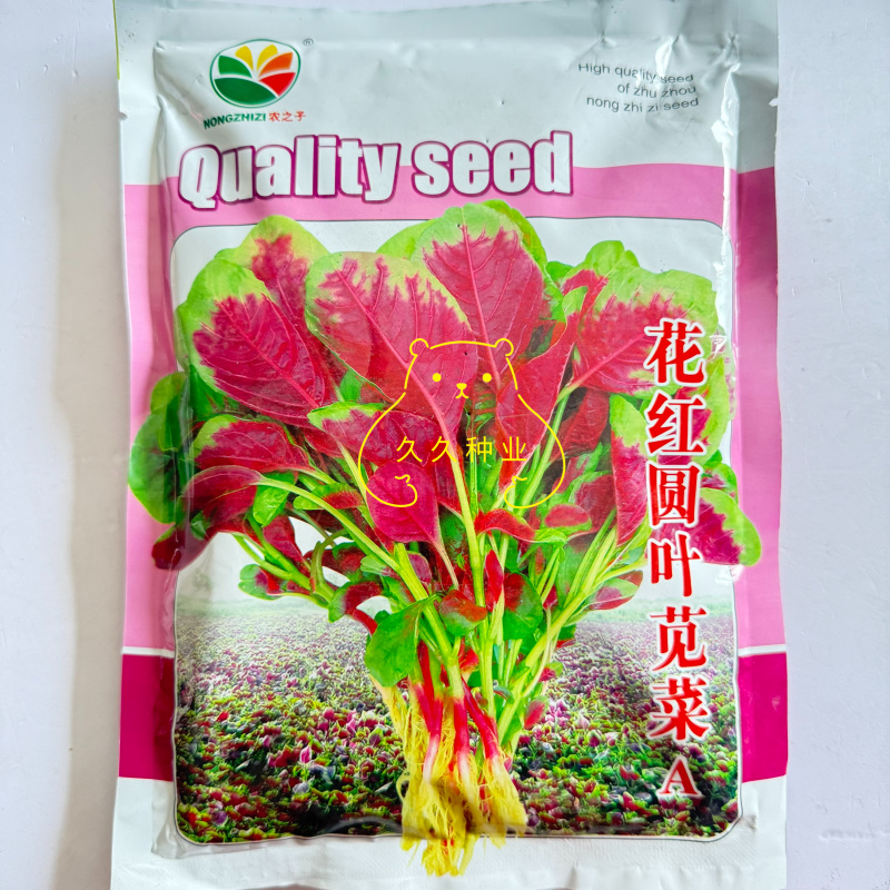农之子花红圆叶苋菜种子红汗菜蔬菜种籽叶片厚白绿梗