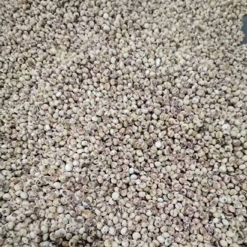 脱皮油莎豆